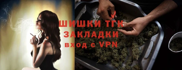 прущие грибы Володарск