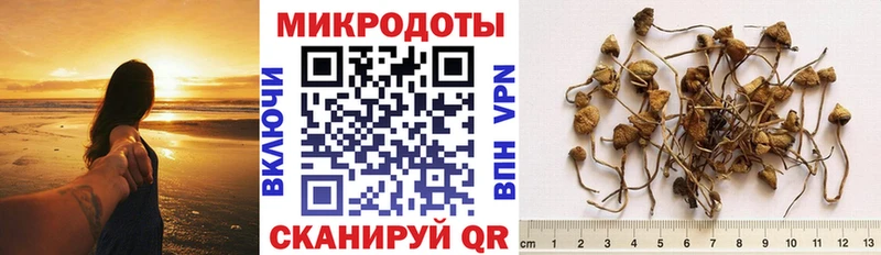 даркнет официальный сайт  Нея  Галлюциногенные грибы GOLDEN TEACHER 